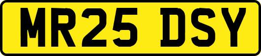 MR25DSY