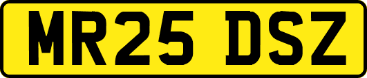MR25DSZ