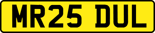 MR25DUL
