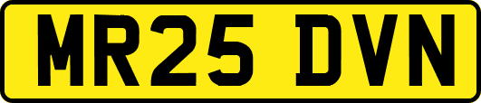 MR25DVN