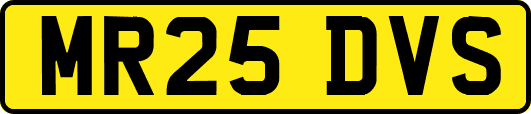 MR25DVS