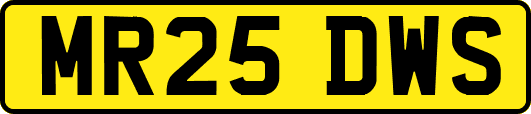 MR25DWS