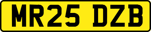MR25DZB