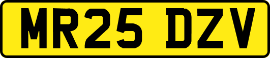 MR25DZV