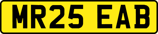 MR25EAB