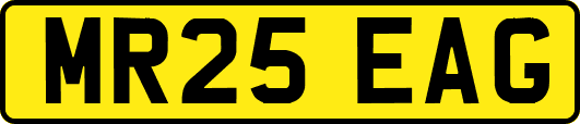 MR25EAG