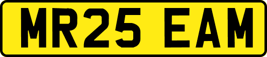 MR25EAM