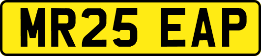 MR25EAP