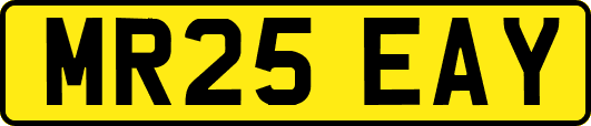 MR25EAY