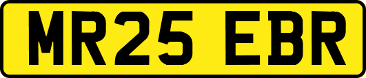 MR25EBR