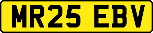 MR25EBV