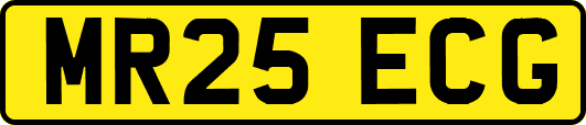 MR25ECG
