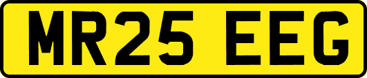 MR25EEG
