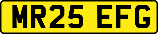 MR25EFG