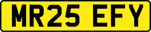 MR25EFY