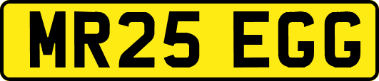 MR25EGG