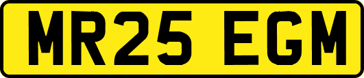 MR25EGM