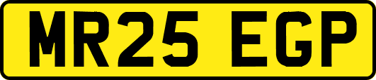 MR25EGP