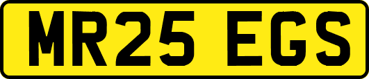 MR25EGS