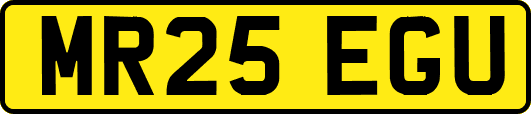 MR25EGU