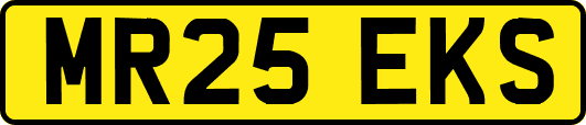 MR25EKS