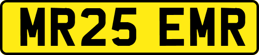 MR25EMR