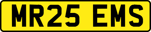 MR25EMS