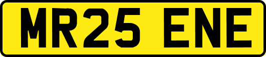 MR25ENE