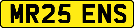 MR25ENS