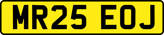 MR25EOJ