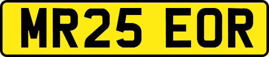 MR25EOR
