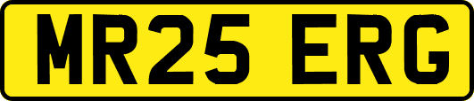 MR25ERG