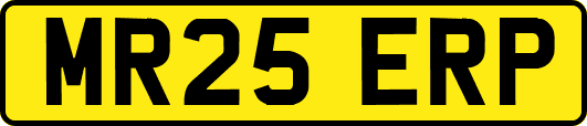 MR25ERP