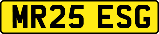 MR25ESG