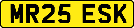 MR25ESK