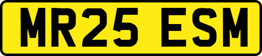 MR25ESM