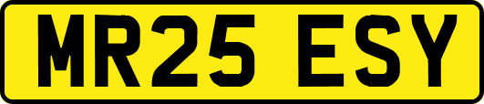 MR25ESY