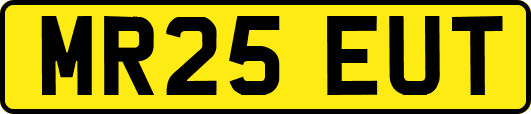 MR25EUT