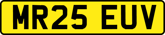 MR25EUV
