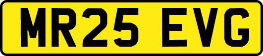 MR25EVG