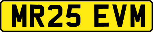 MR25EVM