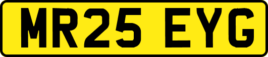 MR25EYG
