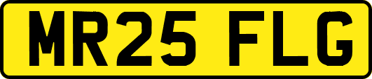 MR25FLG