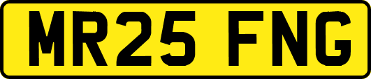 MR25FNG