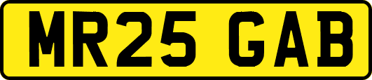 MR25GAB