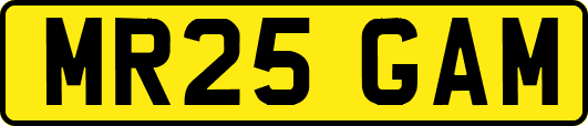 MR25GAM