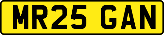 MR25GAN