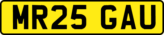 MR25GAU