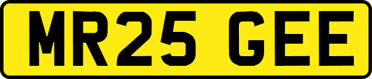 MR25GEE