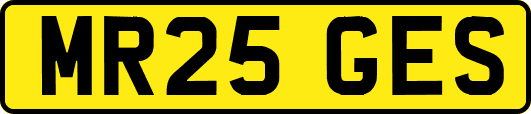 MR25GES